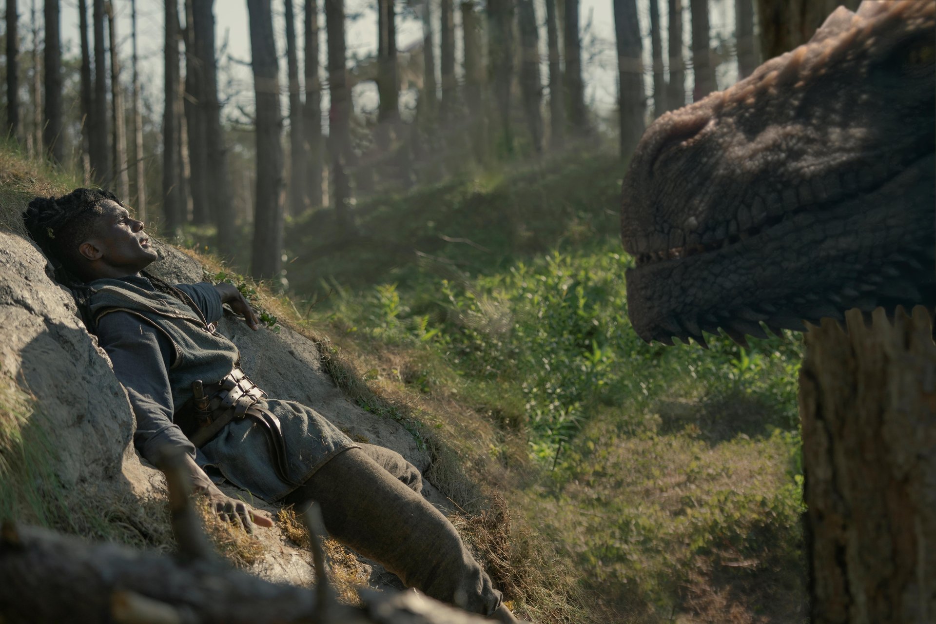 Review | House of the Dragon (2ª temporada – episódio 6)