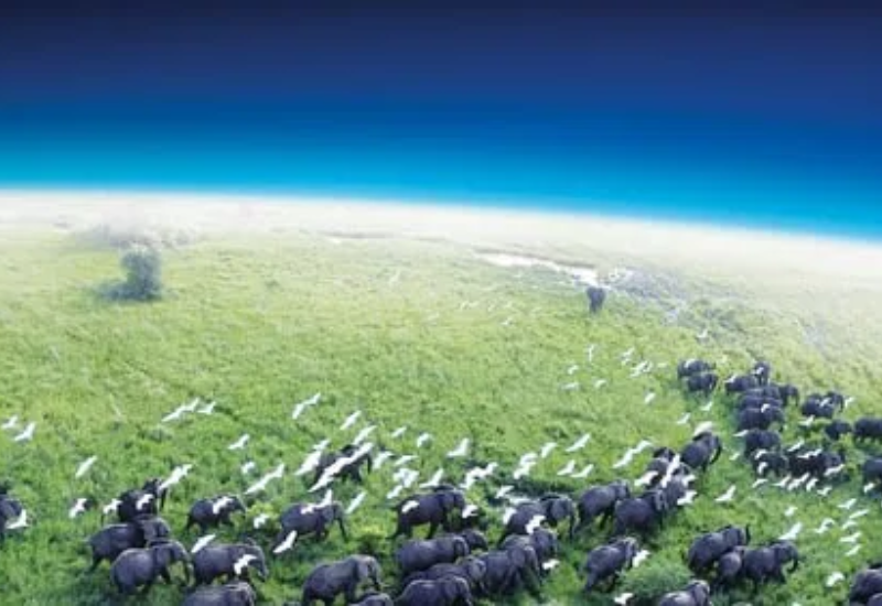 tipos de documentário