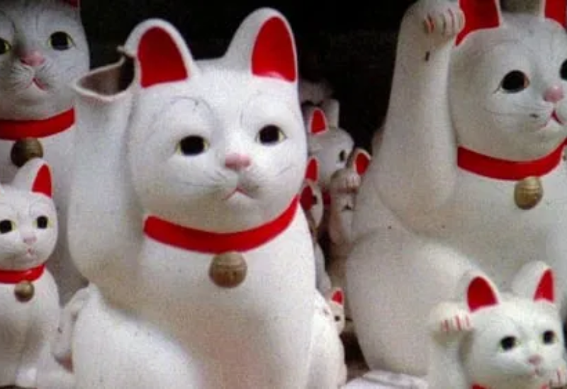 tipos de documentário