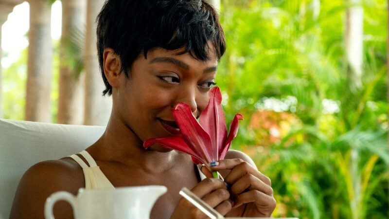 Spoiler Alert | Pisque Duas Vezes (Final explicado)