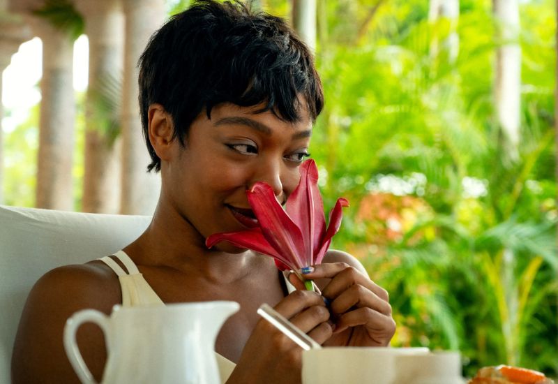 Spoiler Alert | Pisque Duas Vezes (Final explicado)