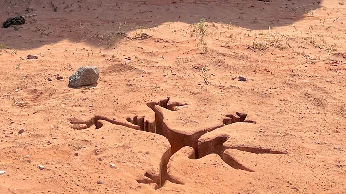 Aguardado filme dos Looney Tunes ganha data de estreia no Brasil