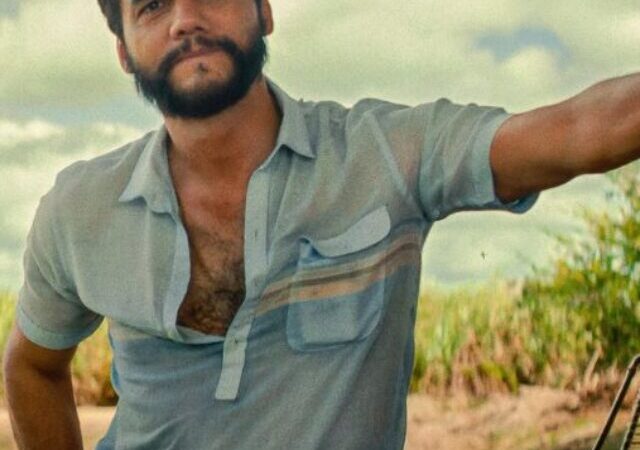 Estreias de novembro