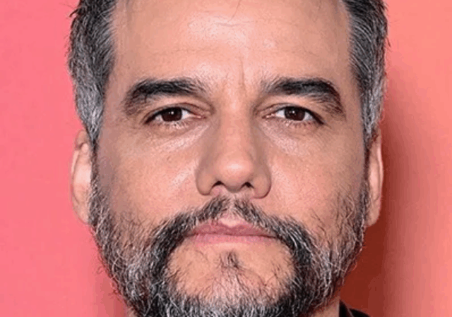 Filmes e séries com Wagner Moura