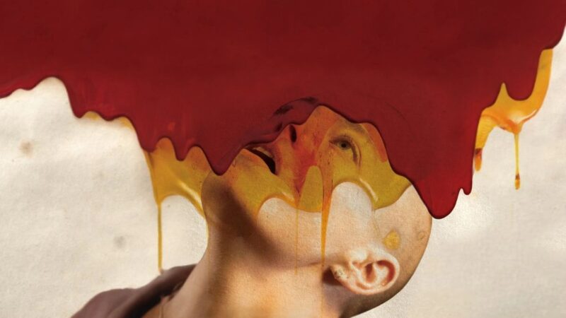 Spoiler Alert | Bugonia (Final explicado)