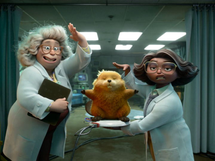 7 curiosidades sobre Cara de Um, Focinho do Outro