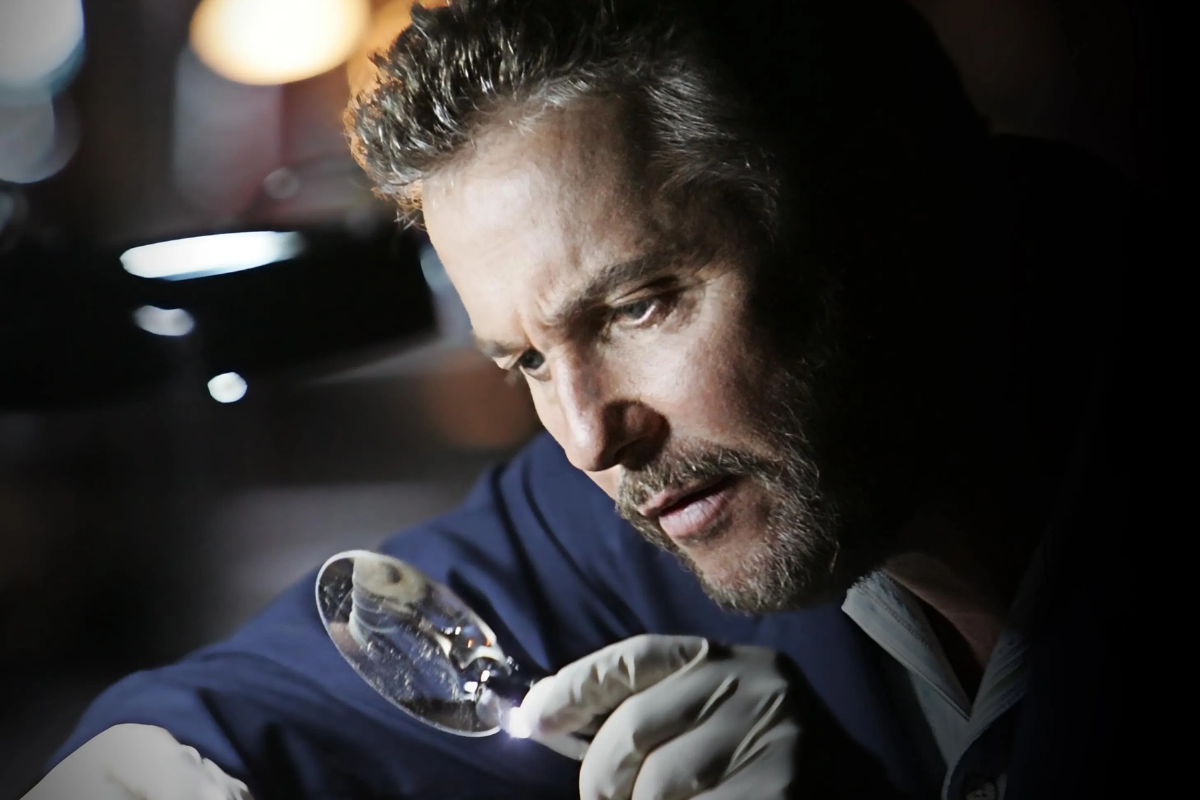 O que é uma série procedural?