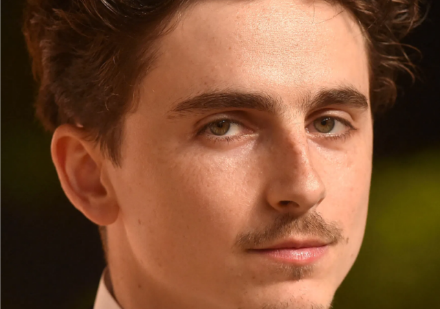 Filmes com Timothée Chalamet