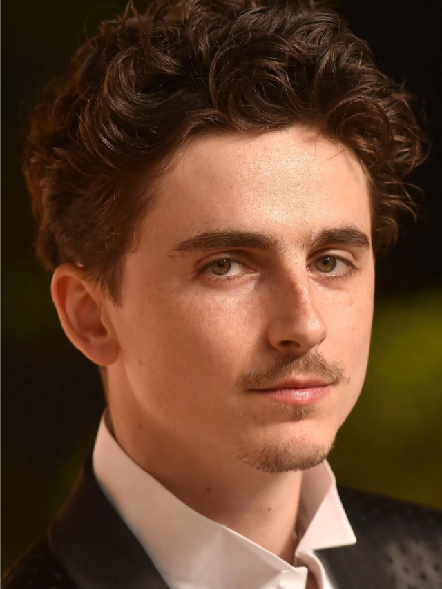 Filmes com Timothée Chalamet